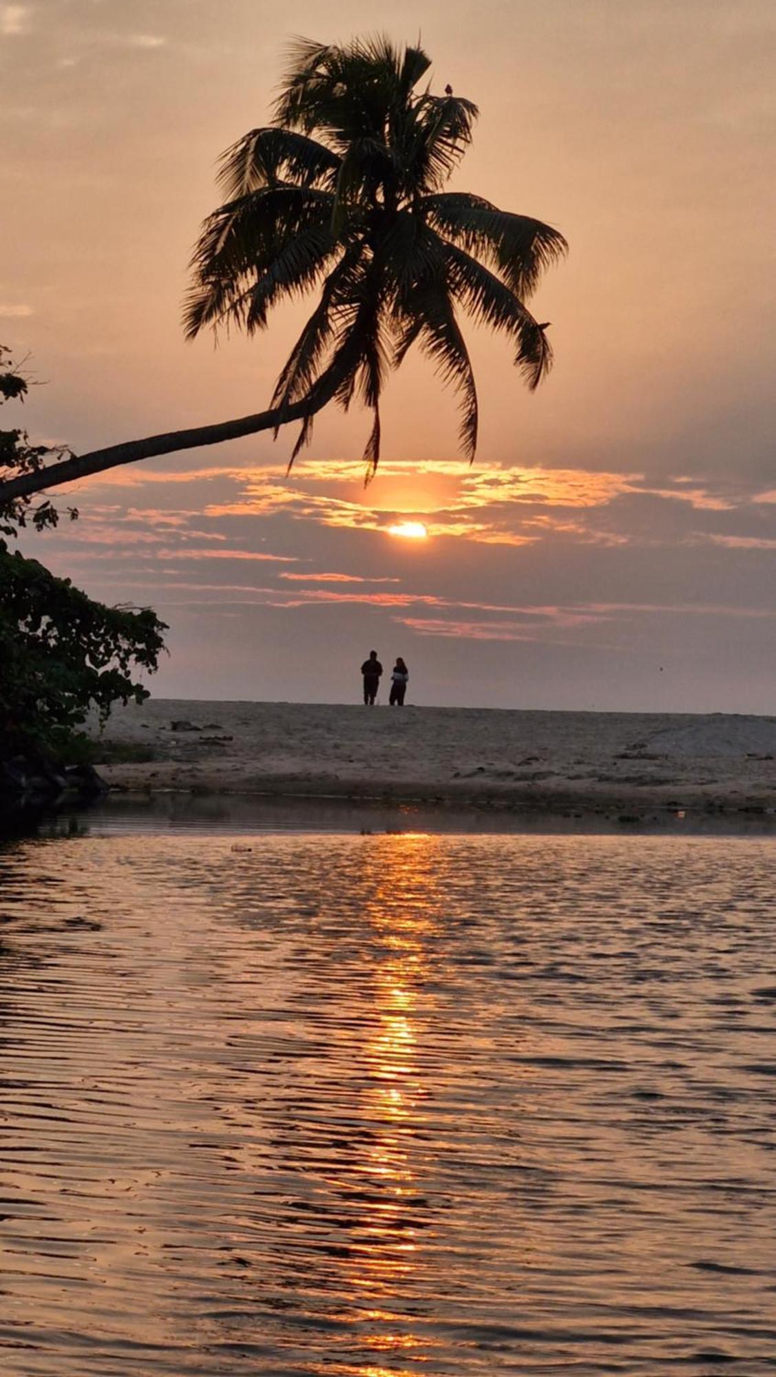 Gypsea Marari Bed & Breakfast Alappuzha Exterior photo